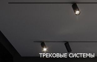 Трековые системы