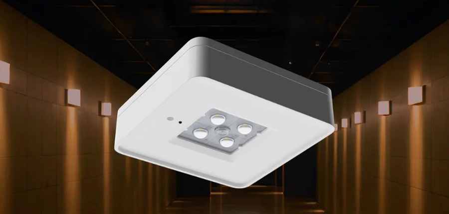 SPECTRA LED